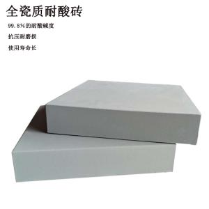 300*65mm 加厚防腐耐酸磚